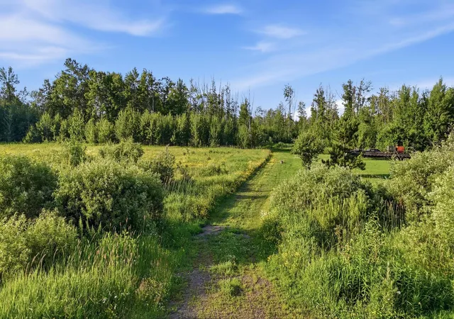 Homes for sale in Moose Lake, MN | Tbd Florence Dr, Moose Lake, MN 55767 | MLS# 7105391