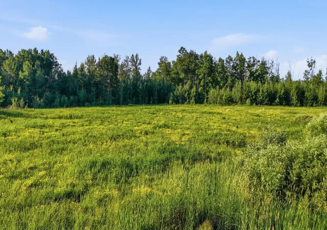 Homes for sale in Moose Lake, MN | Tbd Florence Dr, Moose Lake, MN 55767 | MLS# 7105391