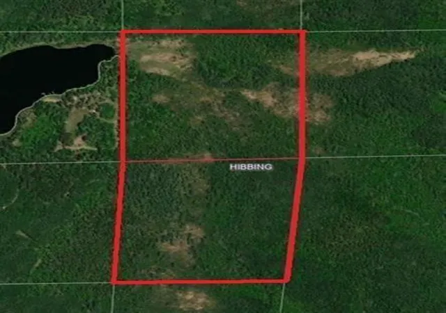 Homes for sale in Hibbing, MN | Tbd S Town Line Rd, Hibbing, MN 55746 | MLS# 7105527