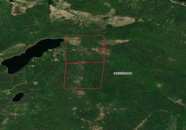 Photo 3 of Land for sale at Tbd S Town Line Rd, Hibbing, MN 55746 | MLS# 7105527 | Listing updated on 2026-07-08