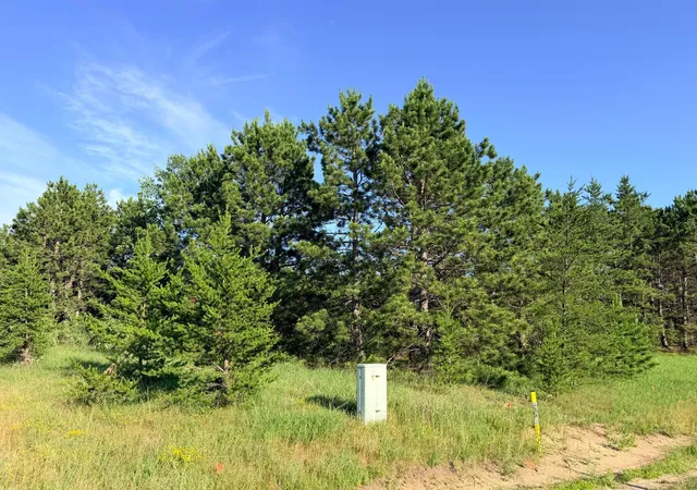2nd image of Tbd 372nd St, Menahga, MN 56464 | MLS# 7105575