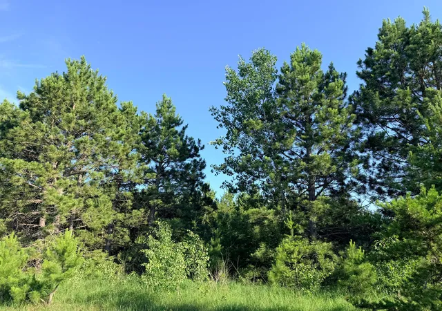 3rd image of Tbd 372Nd St, Menahga, MN 56464 | MLS# 7105575