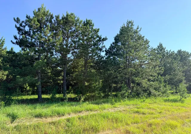 4th image of Tbd 372Nd St, Menahga, MN 56464 | MLS# 7105575