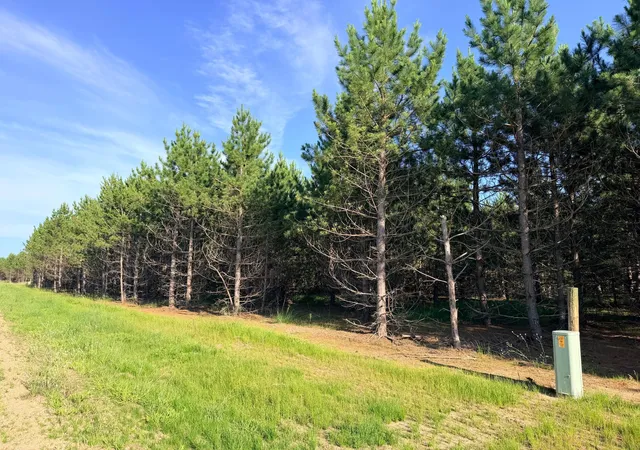 Photo 3 of Sale Pending at Tbd Lita Ln, Menahga, MN 56464 | MLS# 7105615 | Listing updated on 2026-09-02