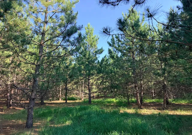 Photo 3 of Sale Pending at Tbd Lita Ln, Menahga, MN 56464 | MLS# 7105615 | Listing updated on 2026-09-02