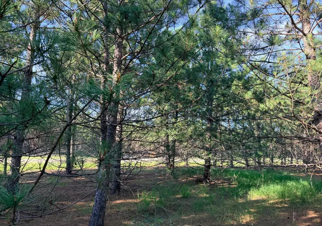5th image of Tbd Lita Lane, Menahga, MN 56464 | MLS# 7105615