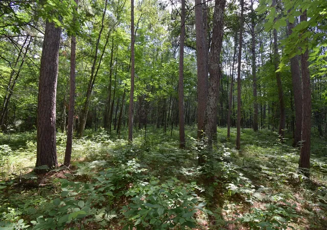 1st image of Lot 2 Saylors Ln, Siren, WI 54872 | MLS# 7105864