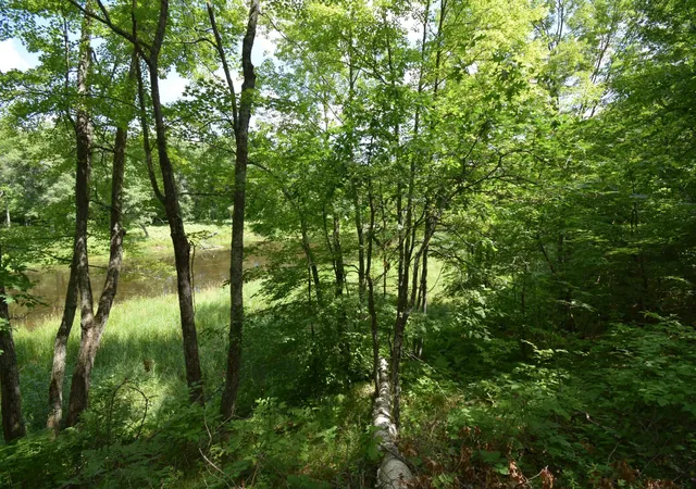 3rd image of Lot 2 Saylors Ln, Siren, WI 54872 | MLS# 7105864