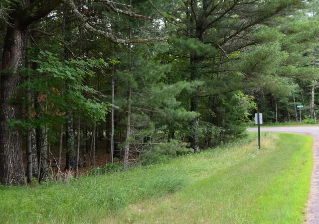 1st image of Tbd Benson Rd, Grantsburg, WI 54840 | MLS# 7105917