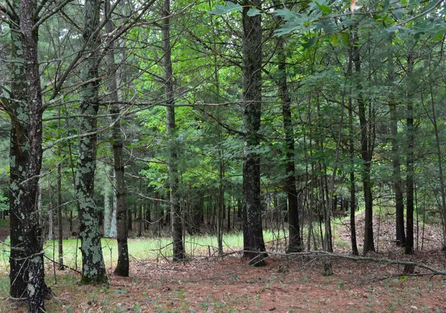 2nd image of Tbd Benson Rd, Grantsburg, WI 54840 | MLS# 7105917