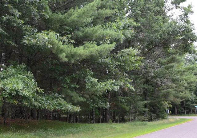 3rd image of Tbd Benson Rd, Grantsburg, WI 54840 | MLS# 7105917