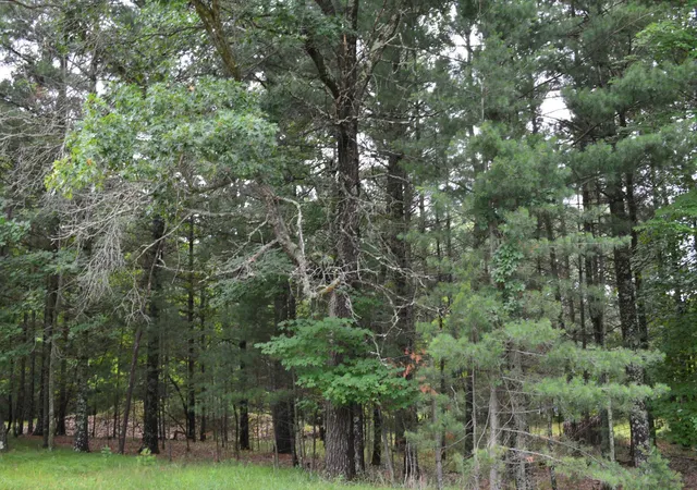 4th image of Tbd Benson Rd, Grantsburg, WI 54840 | MLS# 7105917