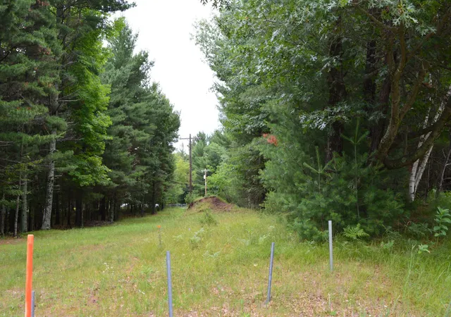 5th image of Tbd Benson Rd, Grantsburg, WI 54840 | MLS# 7105917
