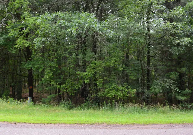9th image of Tbd Benson Rd, Grantsburg, WI 54840 | MLS# 7105917
