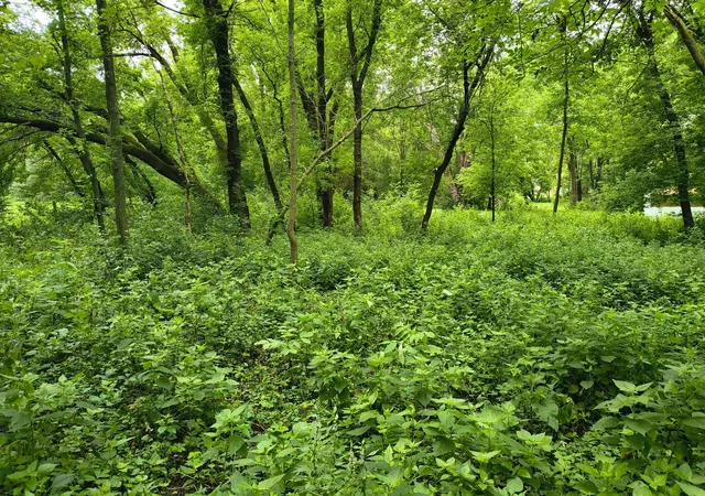 1st image of Tbd Ne 4th St, Glenwood, MN 56334 | MLS# 7106000