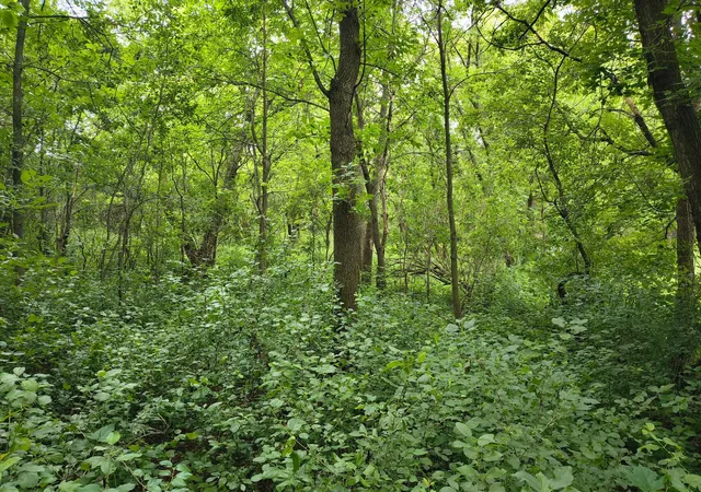 3rd image of Tbd Ne 4th St, Glenwood, MN 56334 | MLS# 7106000