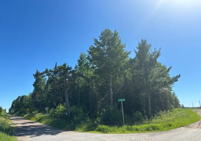 Homes for sale in Orr, MN | Tbd 10 County Rd 75, Orr, MN 55771 | MLS# 7106003