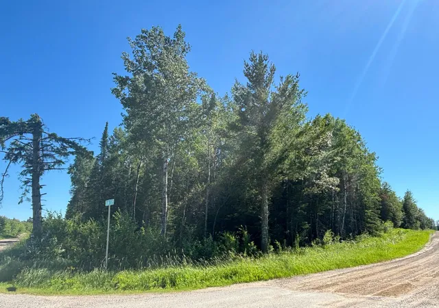 Homes for sale in Orr, MN | Tbd 10 County Rd 75, Orr, MN 55771 | MLS# 7106003
