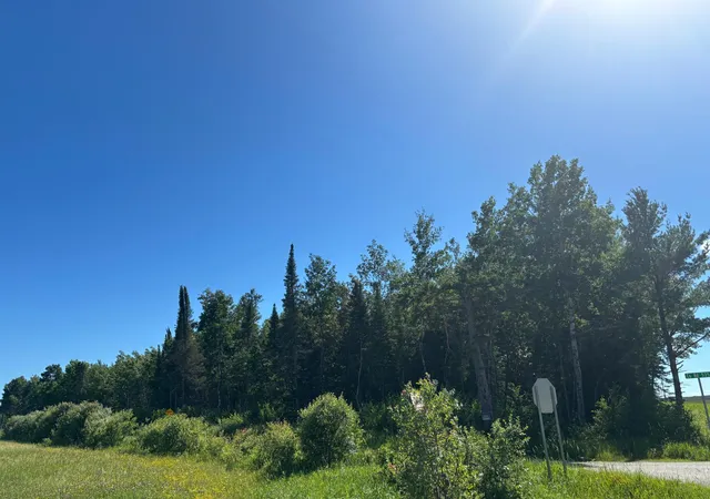 Photo 3 of Land for sale at Tbd 10 County Rd 75, Orr, MN 55771 | MLS# 7106003 | Listing updated on 2026-07-08