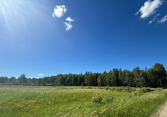 Photo 4 of Land for sale at Tbd 10 County Rd 75, Orr, MN 55771 | MLS# 7106003 | Listing updated on 2026-07-08