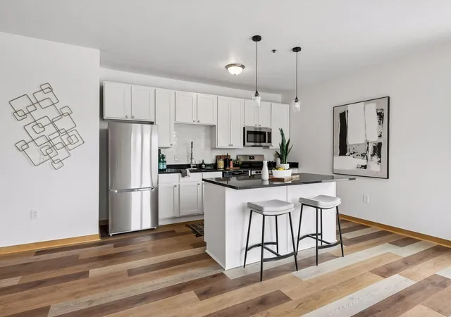Homes for sale in Hopkins, MN | 1502 5Th St N #313, Hopkins, MN 55305 | MLS# 7106048