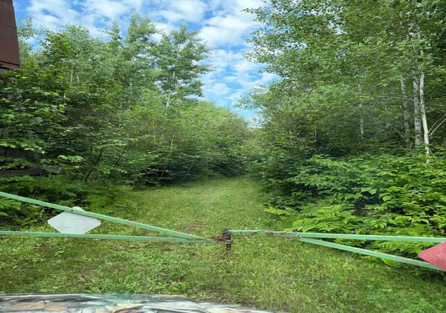 1st image of 000 County Rd 56, Nashwauk, MN 55769 | MLS# 7106090
