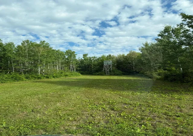4th image of 000 County Rd 56, Nashwauk, MN 55769 | MLS# 7106090