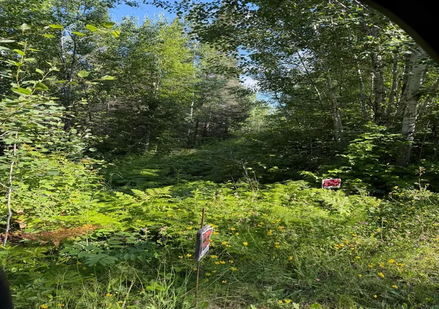 6th image of 000 County Rd 56, Nashwauk, MN 55769 | MLS# 7106090