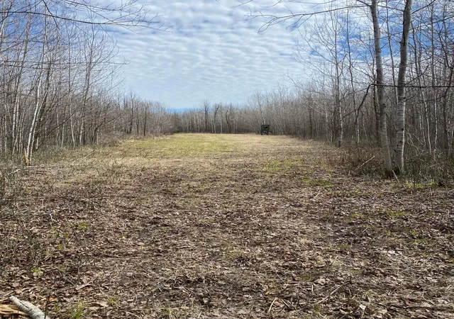 Photo 1 of Land for sale at Tbd County Rd 79, Littlefork, MN 56653 | MLS# 7106234 | Listing updated on 2026-08-14