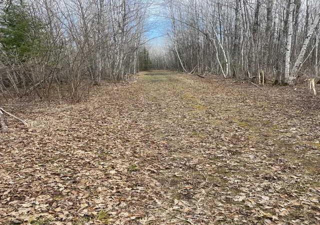 Photo 3 of Land for sale at Tbd County Rd 79, Littlefork, MN 56653 | MLS# 7106234 | Listing updated on 2026-08-14
