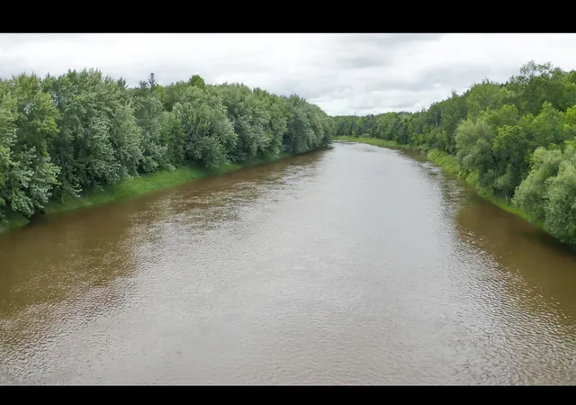 Photo 3 of Land for sale at Tbd County Rd 79, Littlefork, MN 56653 | MLS# 7106234 | Listing updated on 2026-08-14