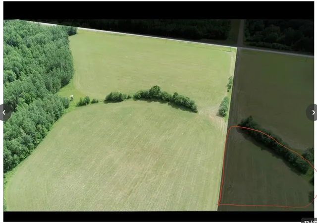 Photo 4 of Land for sale at Tbd County Rd 79, Littlefork, MN 56653 | MLS# 7106234 | Listing updated on 2026-08-14
