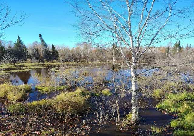 23rd image of 6810 Northeast Rd, Wright, MN 55798 | MLS# 7106255