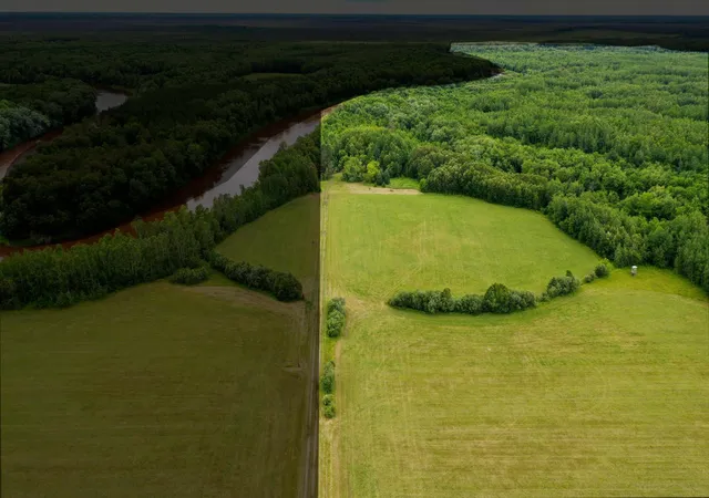 Homes for sale in Littlefork, MN | Tbd County Rd 79, Littlefork, MN 56653 | MLS# 7106372