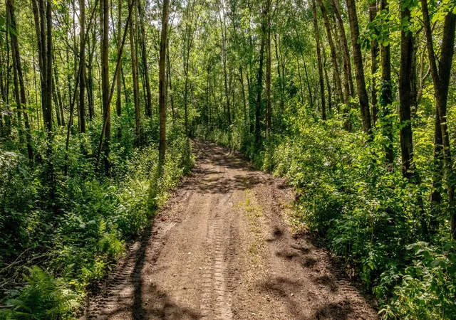 Photo 3 of Land for sale at Tbd W Winnie Rd NE, Bena, MN 56626 | MLS# 7106416 | Listing updated on 2026-07-20