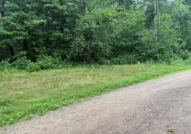 Homes for sale in Baxter, MN | Tbd Hardy Lake Rd, Baxter, MN 56425 | MLS# 7106478