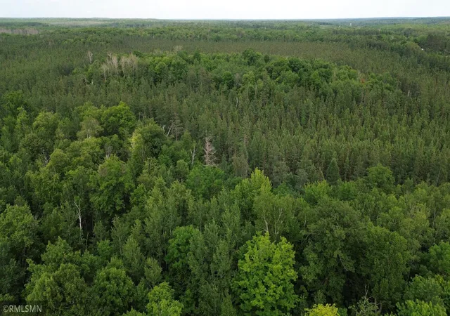 100th image of 30288 125th Pl, Sturgeon Lake, MN 55783 | MLS# 7106484