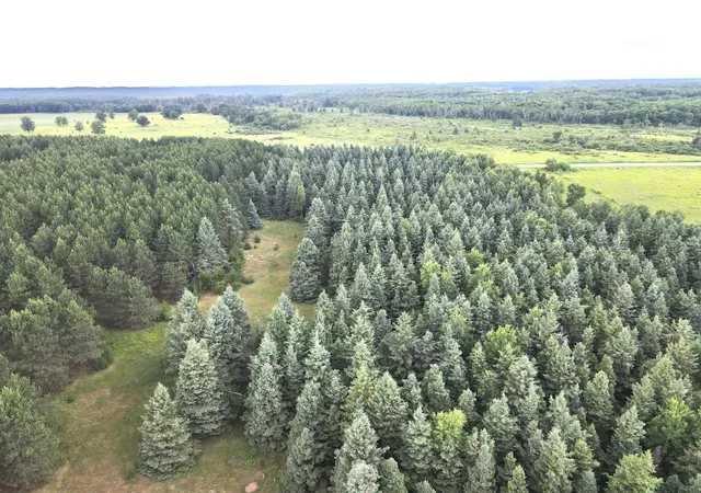 1st image of Tbd 20ac Sleepy Hollow Rd, Brainerd, MN 56401 | MLS# 7106540