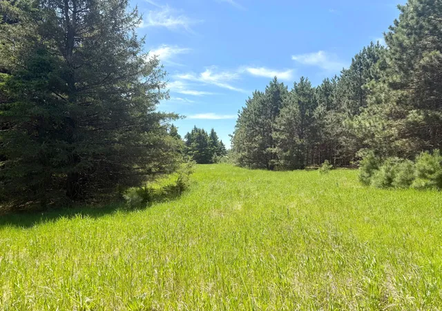 2nd image of Tbd 20ac Sleepy Hollow Rd, Brainerd, MN 56401 | MLS# 7106540