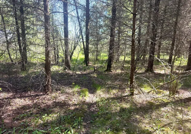 4th image of Tbd-20Ac Sleepy Hollow Rd, Brainerd, MN 56401 | MLS# 7106540