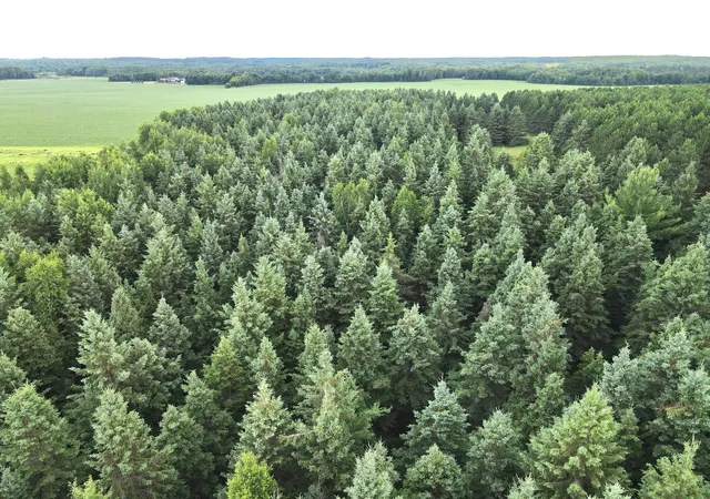 5th image of Tbd-20Ac Sleepy Hollow Rd, Brainerd, MN 56401 | MLS# 7106540