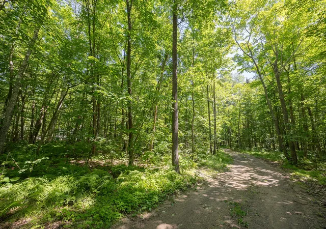 12th image of Tbd County 5, Hackensack, MN 56452 | MLS# 7106660