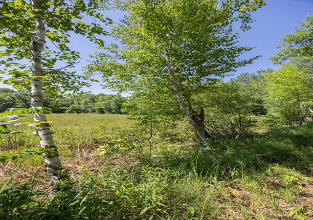 3rd image of Tbd County 5, Hackensack, MN 56452 | MLS# 7106660
