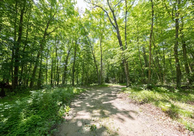 4th image of Tbd County 5, Hackensack, MN 56452 | MLS# 7106660