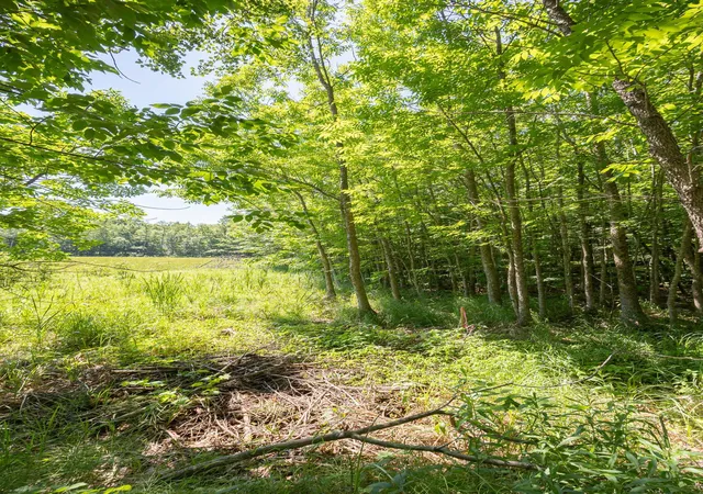 5th image of Tbd County 5, Hackensack, MN 56452 | MLS# 7106660