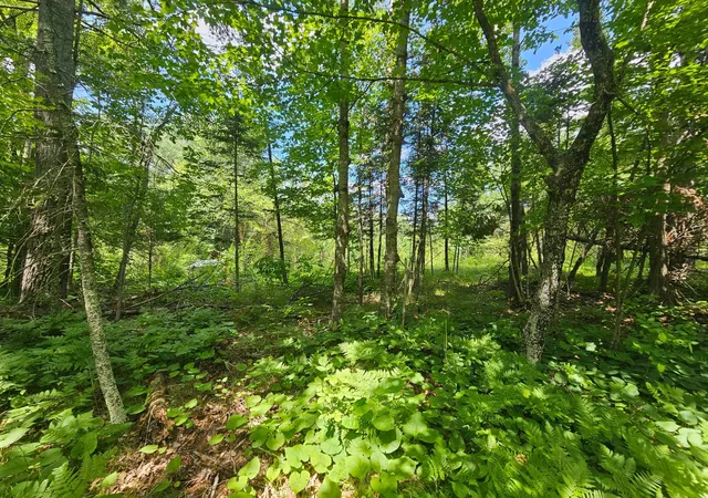 Homes for sale in Deerwood Twp, MN | Tbd Cedar Shores Dr, Deerwood Twp, MN 56444 | MLS# 7106712