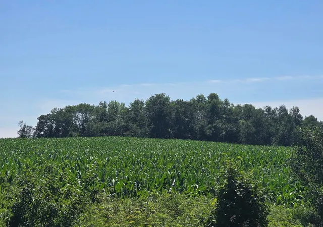 1st image of 00 110 St, Frederic, WI 54837 | MLS# 7106810