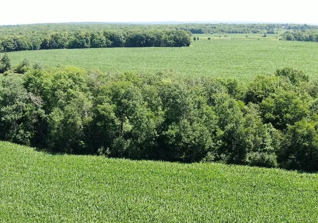 2nd image of 00 110 St, Frederic, WI 54837 | MLS# 7106810