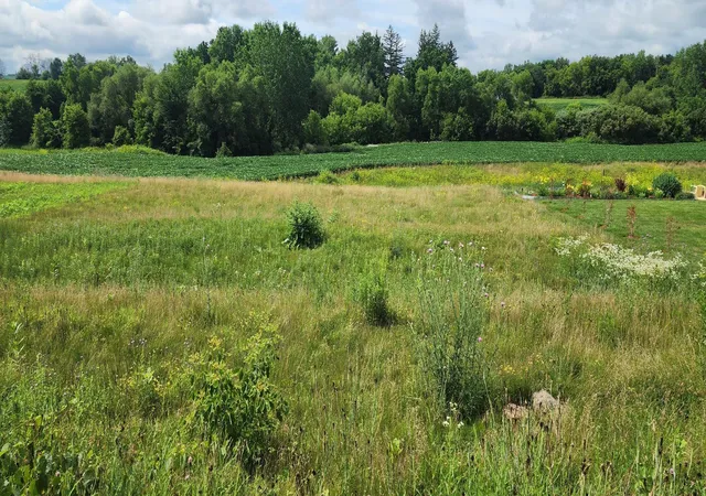 2nd image of 1042 3rd St, Wanamingo, MN 55983 | MLS# 7106889