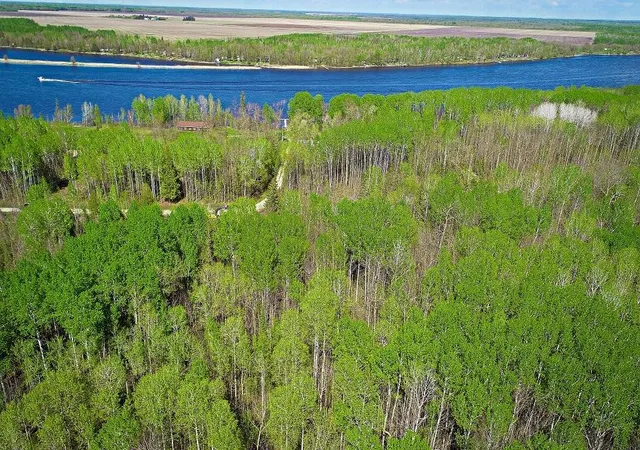 Homes for sale in Baudette, MN | Lot 7 - Tbd Driftwood Ln Nw, Baudette, MN 56623 | MLS# 7106916